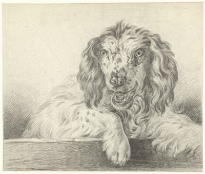 犬 作： Jean Bernard