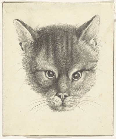 猫の頭、正面から 作： Jean Bernard