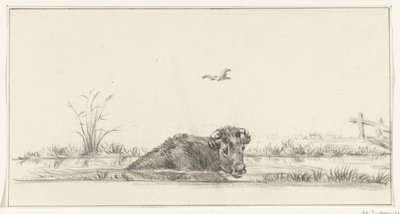水の中の牛 作： Jean Bernard