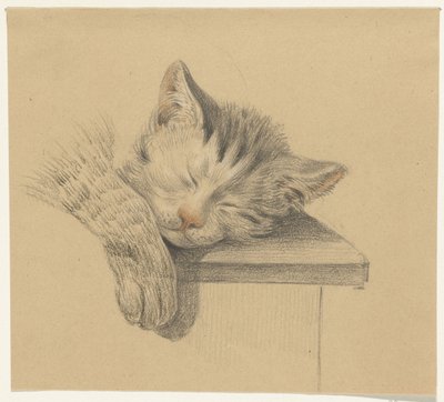 眠っている猫の頭と足 作： Jean Bernard