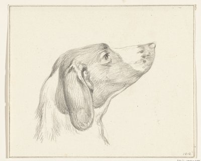 犬の頭、右側 作： Jean Bernard