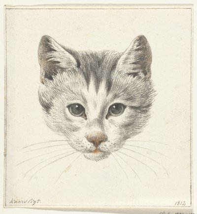 ろうそくの明かりで正面から見た猫の頭 作： Jean Bernard