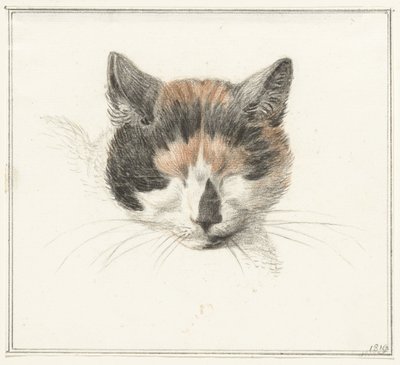 三毛猫の頭、正面から、目を閉じて 作： Jean Bernard