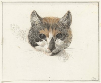 三毛猫の頭、正面から、目を開けて 作： Jean Bernard