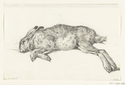 横たわっている死んだうさぎ 作： Jean Bernard