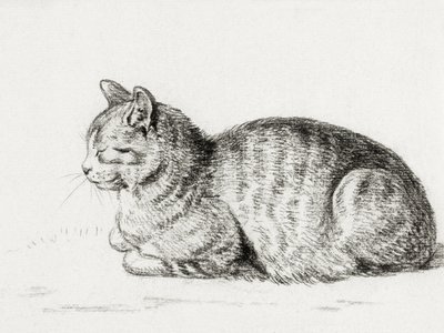 横たわる猫（1811年） 作： ジャン・バーナード