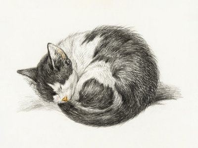 丸まって寝ている猫（1825年） 作： Jean Bernard