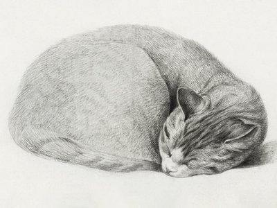 ジャン・ベルナール（1775–1883）作『丸まって横たわり、眠る猫』 作： Jean Bernard