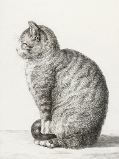 座る猫（1815年） 作： Jean Bernard