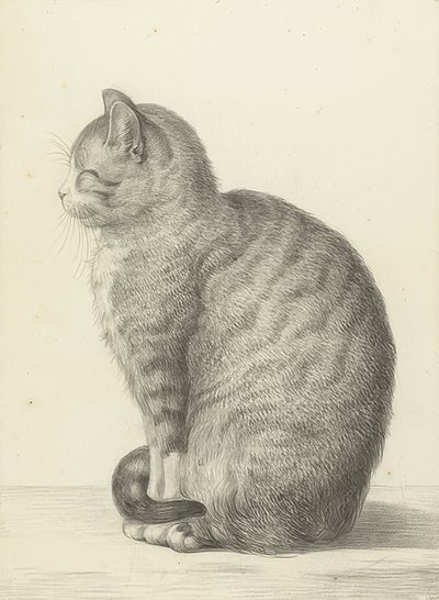 左に座っている猫。 1815 作： Jean Bernard