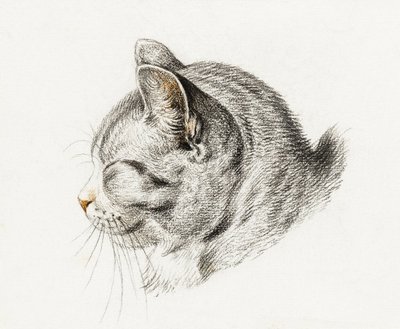 『猫の素描』（1813年） 作： Jean Bernard