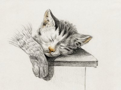 眠る猫のスケッチ 作： Jean Bernard