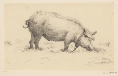 立っている水まき豚、右側、草の中に 作： Jean Bernard