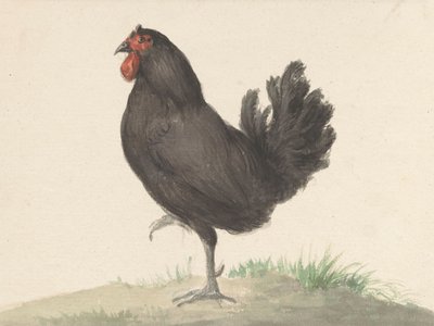 『立つ黒い鶏』（1775–1833） 作： Jean Bernard