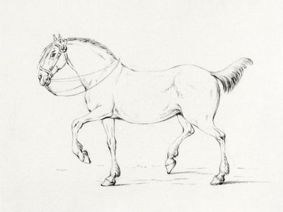 ステッピング・ホース（1775年～1833年） 作： Jean Bernard