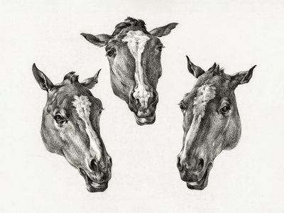 『三頭の馬の頭』（1812年） 作： Jean Bernard