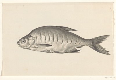 魚、左向き、ノッチあり 作： Jean Bernard