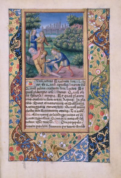 ラットさんQvI126 fol.17ノアの酔い、ルイ・ドルレアンの時間の書、1490 作： Jean Colombe