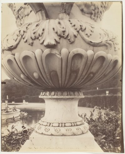 ヴェルサイユ、花瓶 作： Jean Eugène Auguste Atget