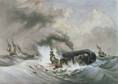 クジラ 作： ジャン・フランソワ（後）ガーネレイ