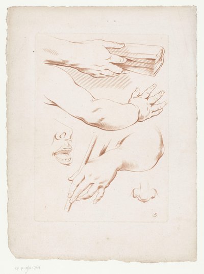 腕、鼻、顔の一部のコンポジション 人体の一部を使用したコンポジション (シリーズ タイトル) 作： Jean Francois Janinet