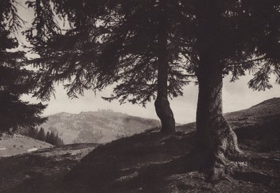 Rigi Staffel、Staffel の近くを歩く (b/w 写真) 作： Jean Gaberell