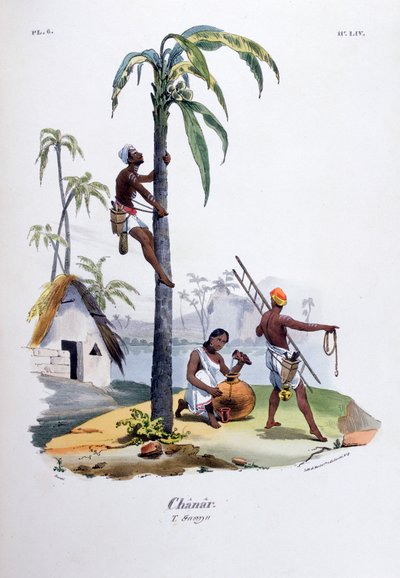 チャナール、1828 作： Jean Henri Marlet