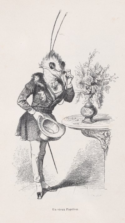 動物の私生活と公の生活の場面からの古い蝶。 1837-47。 作： Jean Ignace Isidore Gérard