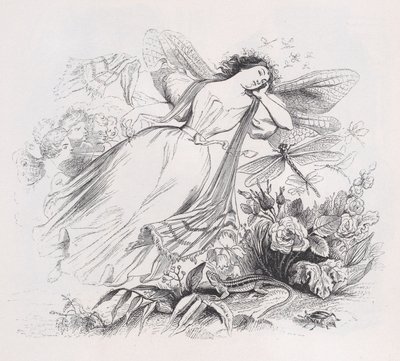 ベランジェ全集（1836年）より「シルフ」。 作： Jean Ignace Isidore Gérard