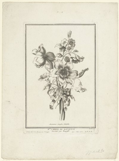アネモネとヒルガオの花束 イソギンチャク、ヴォルビリス (オブジェクトのタイトル) IIe Cahier de Bouquets (連載タイトル) 作： Jean Jacques Avril (I)