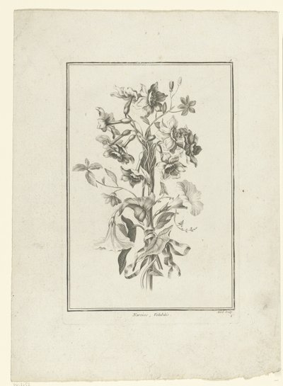 水仙とヒルガオの花束 Narcisse, Volubilis (オブジェクトのタイトル) IIe Cahier de Bouquets (連載タイトル) 作： Jean Jacques Avril (I)