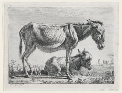 ジェニーと子馬、1797 年。 作： Jean Jacques de Boissieu