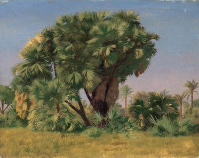 椰子の木の研究 作： Jean Leon Gerome
