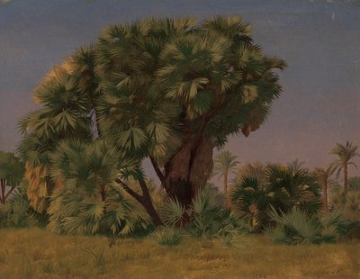 おそらく1868年のヤシの木の研究。 作： Jean Leon Gerome