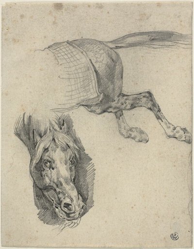 競走馬の頭部と後脚 作： Jean Louis André Théodore Géricault