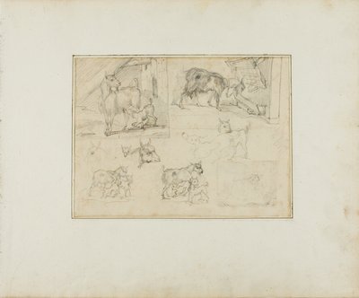 ヤギのスケッチ 作： Jean Louis André Théodore Géricault