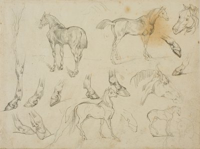 馬のスケッチ 作： Jean Louis André Théodore Géricault