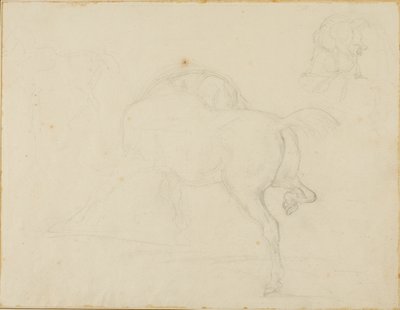 首をかしげ、後脚を上げる馬の習作 作： Jean Louis André Théodore Géricault