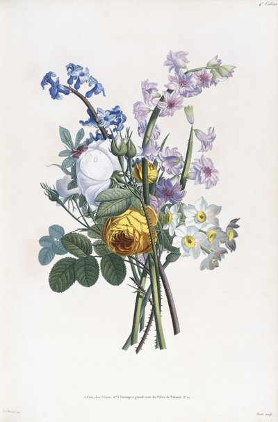 ナルシス、ローザ、ヒアシンス、1805 作： Jean Louis Prevost