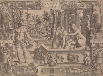 アクテオンの変身、1535-55。 作： Jean Mignon