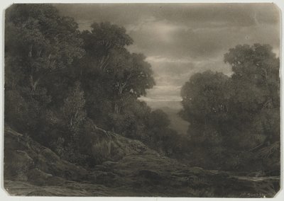 木のある風景 作： Jean Philippe George