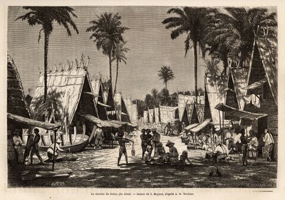 1854年から1862年にかけてのマレー諸島への航海を描いたJ.Moynetの絵をもとに、イギリス人のアルフレッド・ラッセル・ウォレス（1823-1913）が彫ったものです。 作： Jean Pierre Moynet