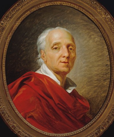 ドニ・ディドロの肖像 1713-1784年（1784年 作： Jean Simon Berthelemy