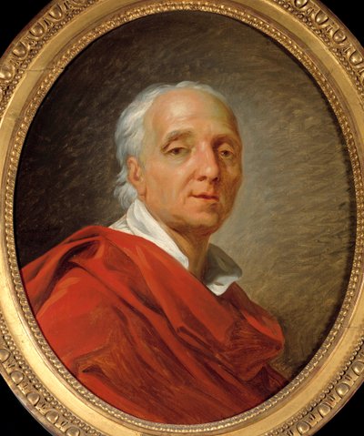 Siecle des Lumieres: "Denis Diderot (1713-1784), 作家・哲学者の肖像" Jean Simon Berthelemy (1743-1811) による絵画 1784年 Dim.0.55 x 0.46 m パリ、カルナヴァレ美術館 作： Jean Simon Berthelemy
