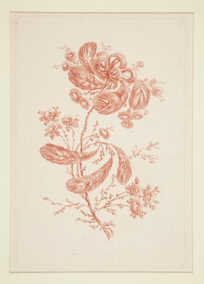 無題 (Ideal Flowers) 6点セットより 作： Jeanne Deny