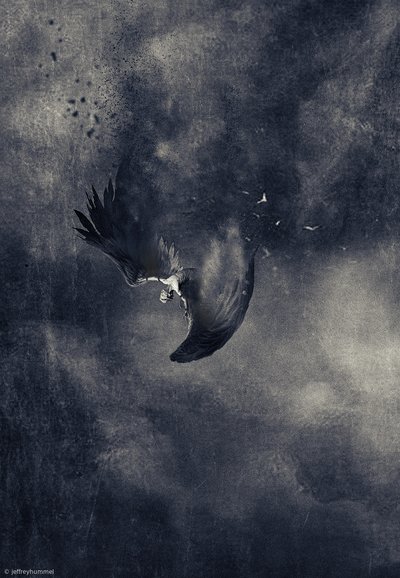 墜ちゆく闇の鳥 作： Jeffrey Hummel