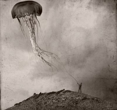  作： Jeffrey Hummel