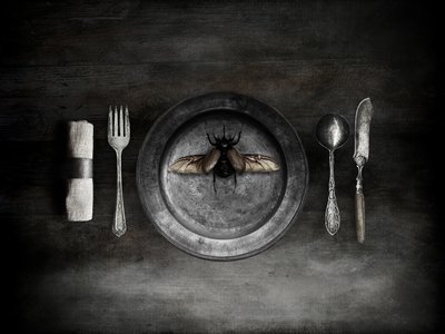 不気味なカブトムシの食事 作： Jeffrey Hummel
