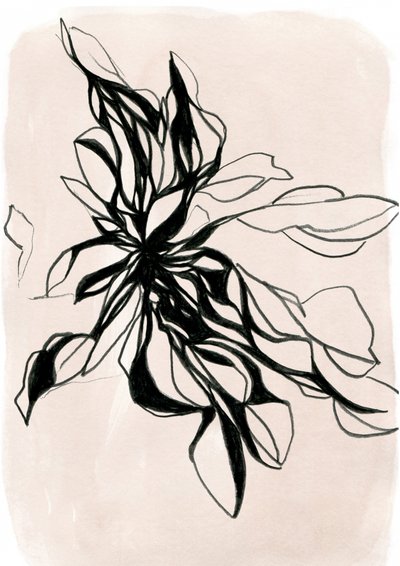  作： 