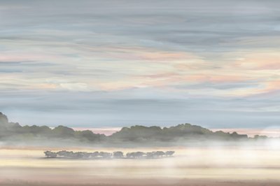  作： Jenna Alheit